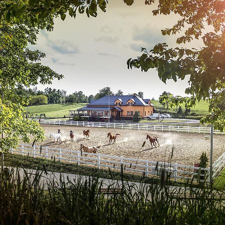 Hotel Horse Riding - Jezdecky Areal Trsice Luaran gambar