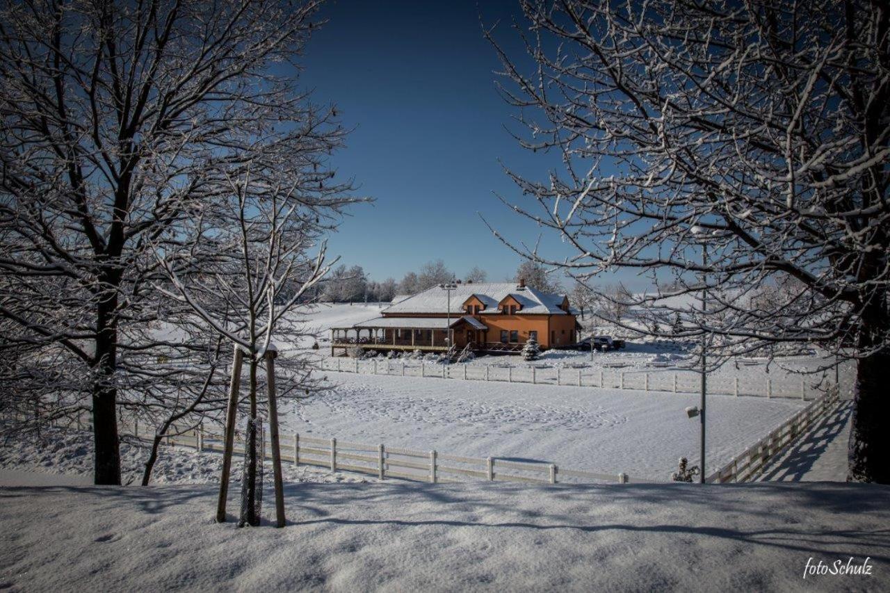 Hotel Horse Riding - Jezdecky Areal Trsice Luaran gambar