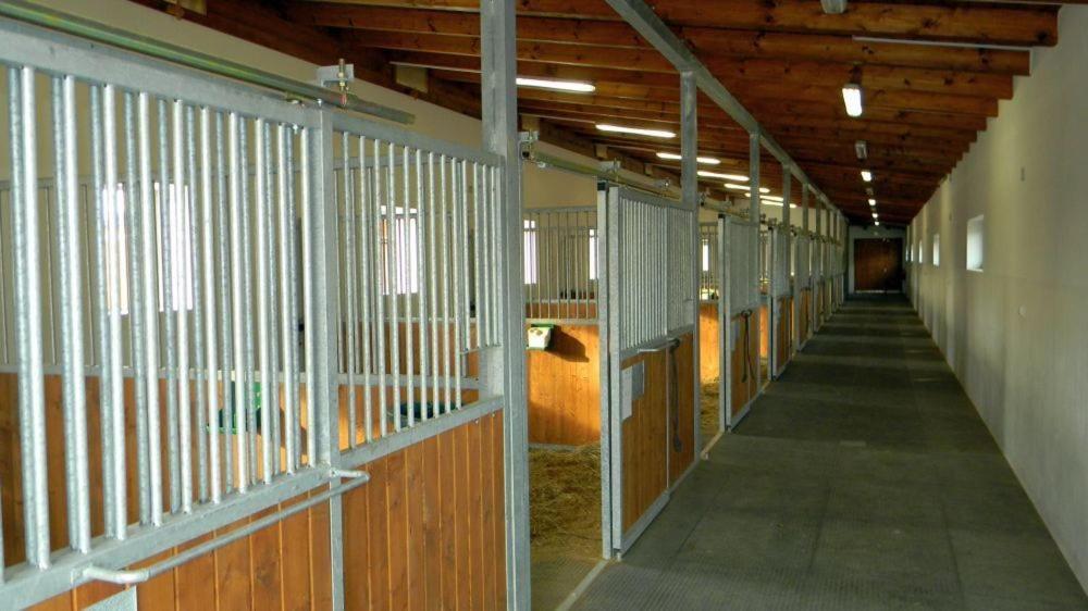 Hotel Horse Riding - Jezdecky Areal Trsice Luaran gambar