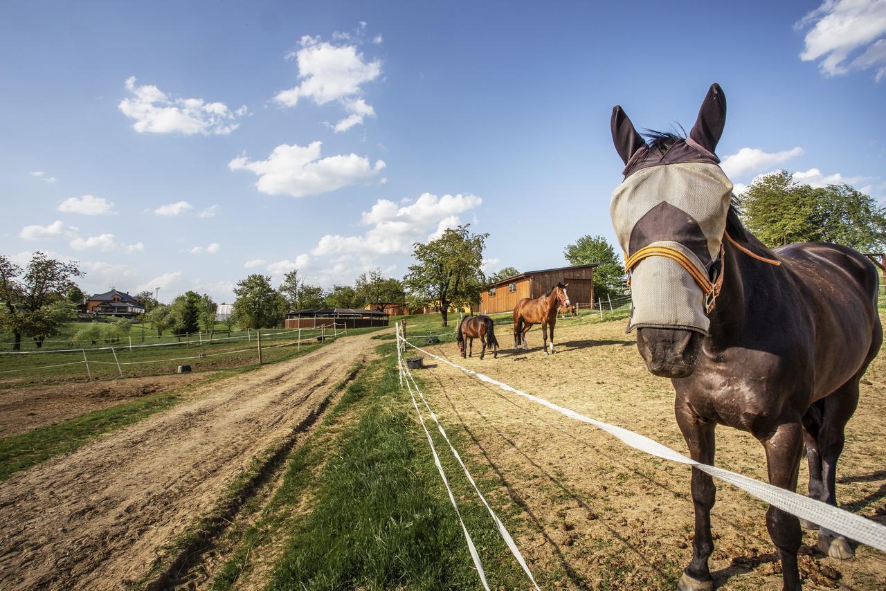 Hotel Horse Riding - Jezdecky Areal Trsice Luaran gambar